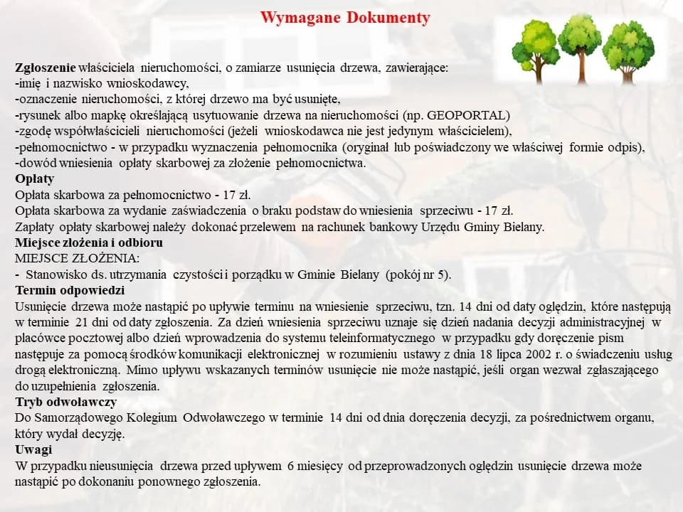 Jak uzasadnić wniosek o wycięcie drzewa, aby uniknąć problemów?