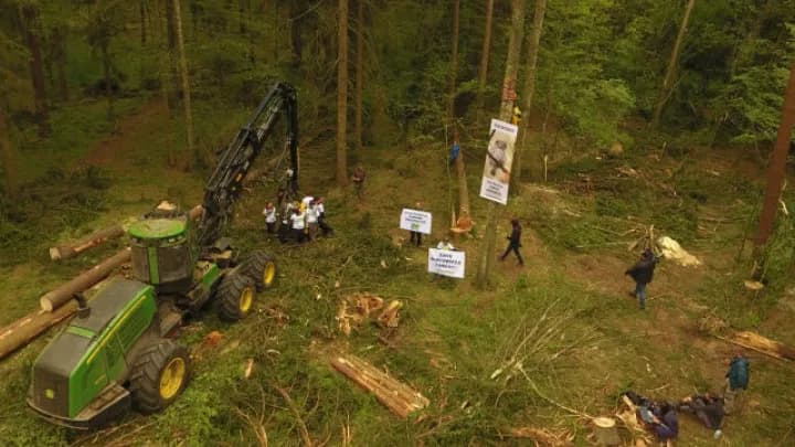 Obszar leśny na którym wycięto drzewa - skutki i zagrożenia dla ekosystemu